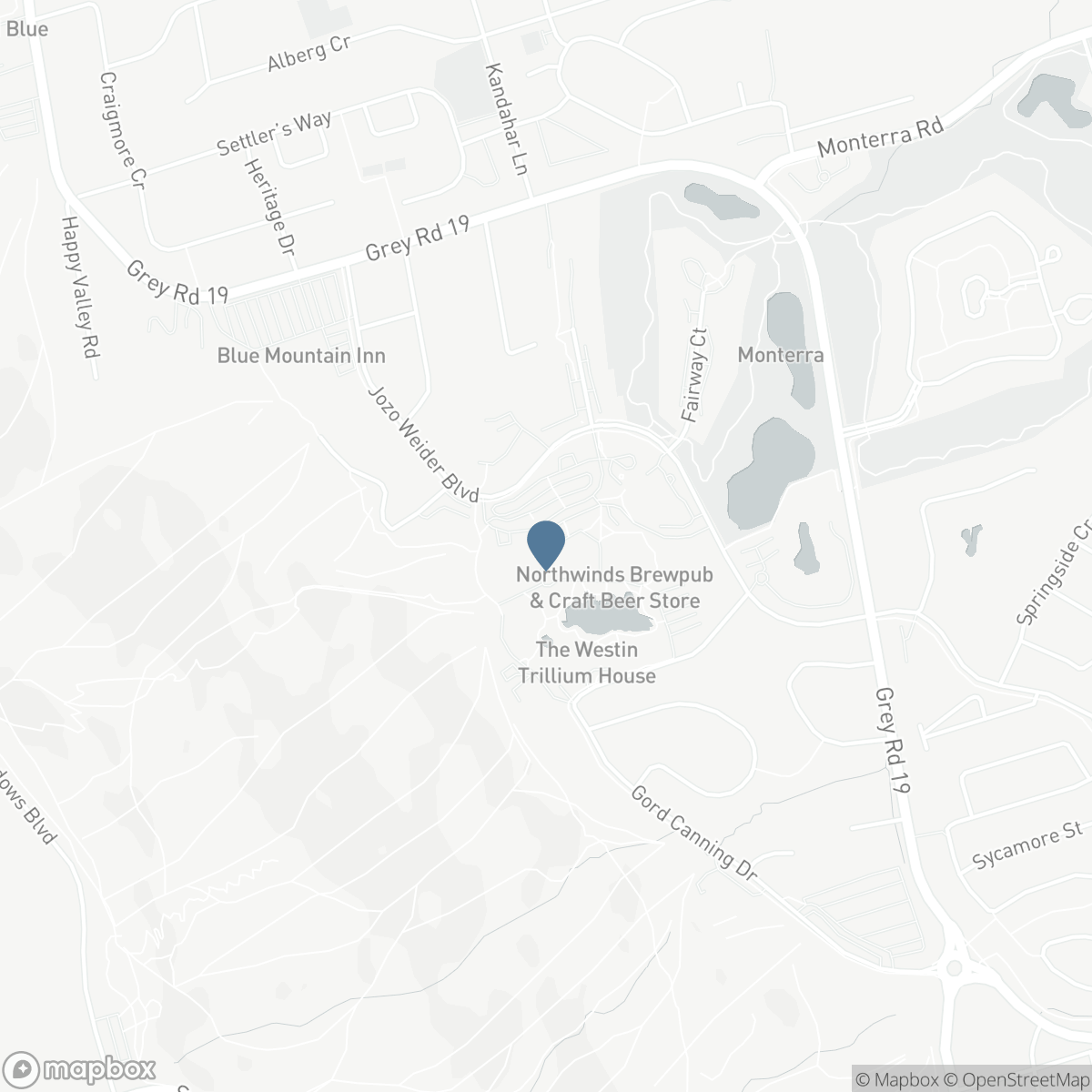 353 - 156 JOZO WEIDER BOULEVARD, The Blue Mountains, Ontario L9Y 0V2